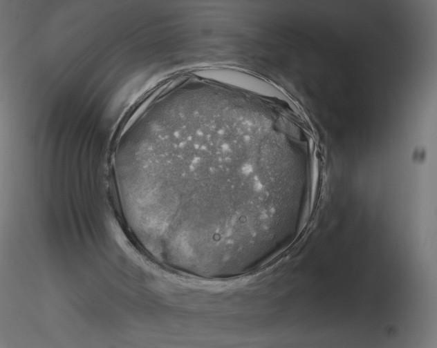 X0000116630002200912312209
