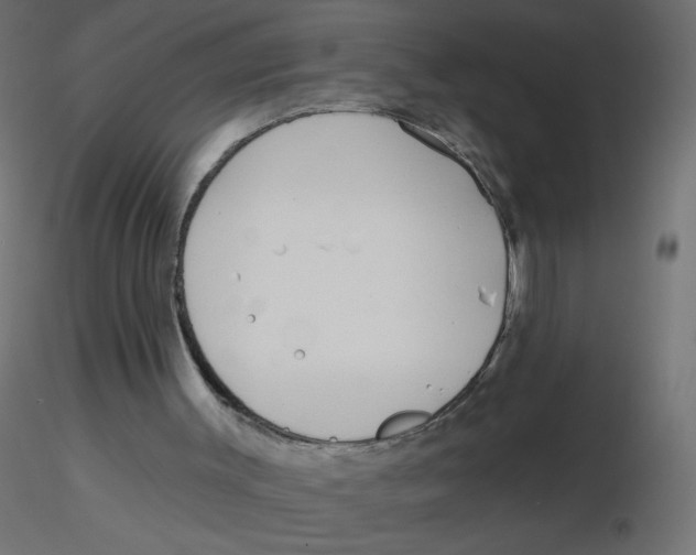 X0000116630003200912312209