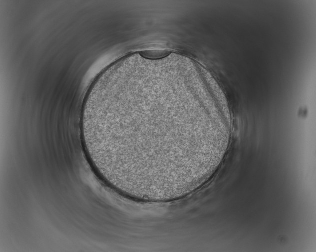 X0000116630004200912312209