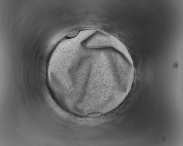 X0000116630005200912312209
