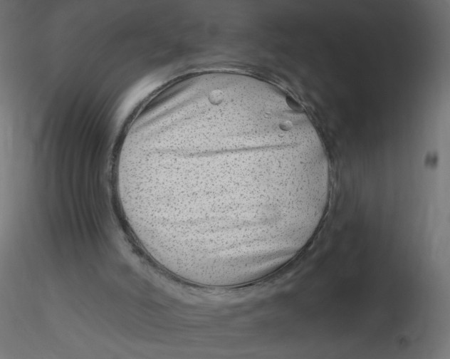 X0000116630006200912312209