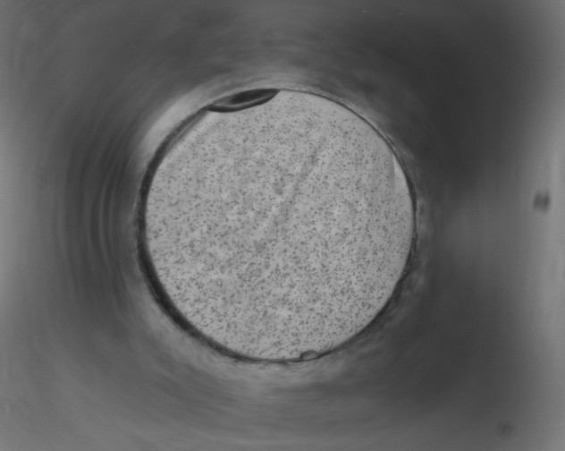 X0000116630007200912312209