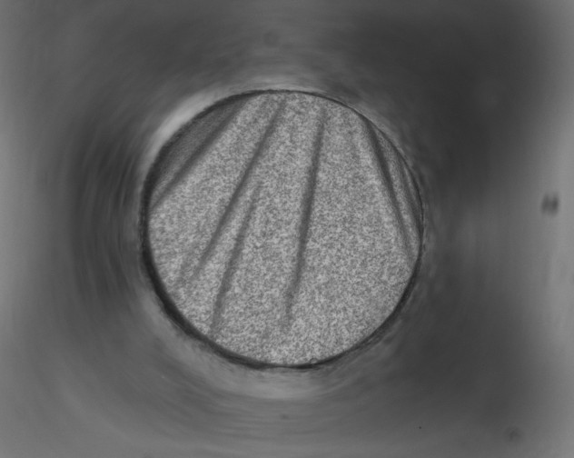 X0000116630008200912312209