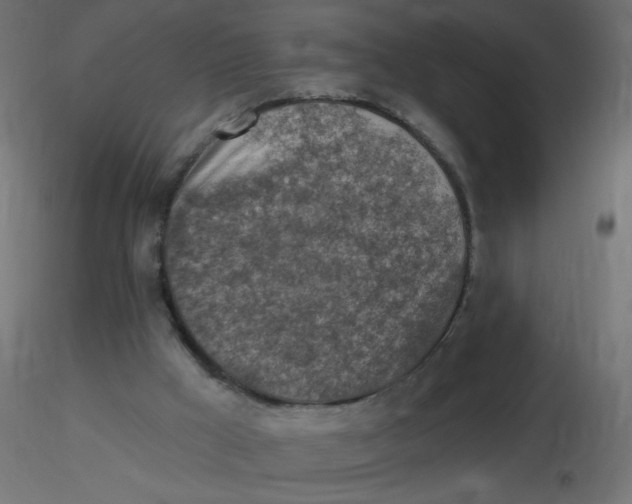X0000116630009200912312209