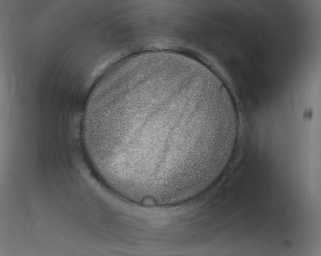 X0000116630010200912312209