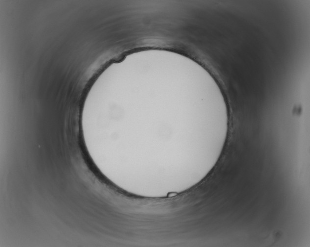 X0000116630011200912312209