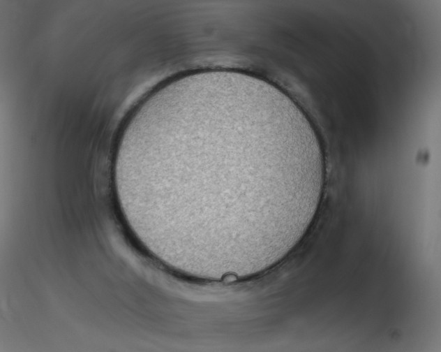 X0000116630012200912312209