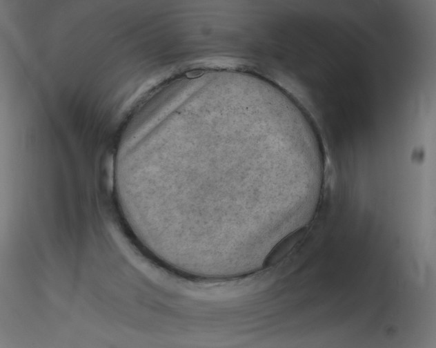 X0000116630013200912312209