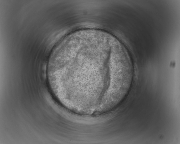 X0000116630014200912312209