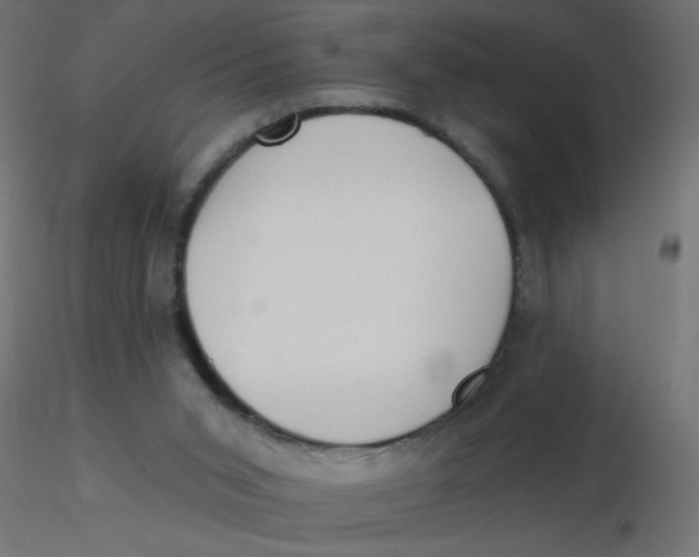 X0000116630015200912312209