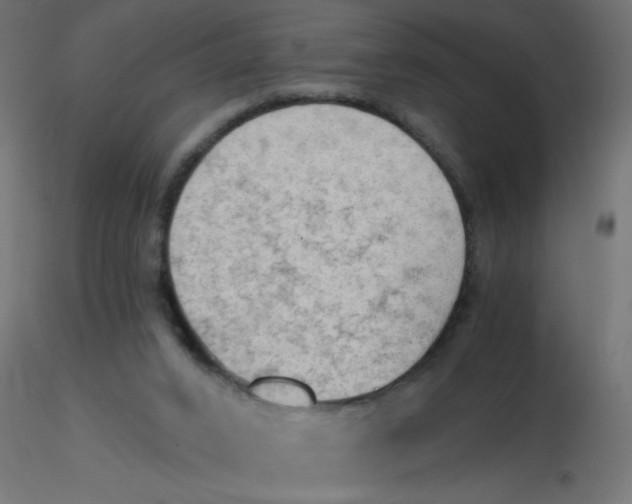 X0000116630016200912312209