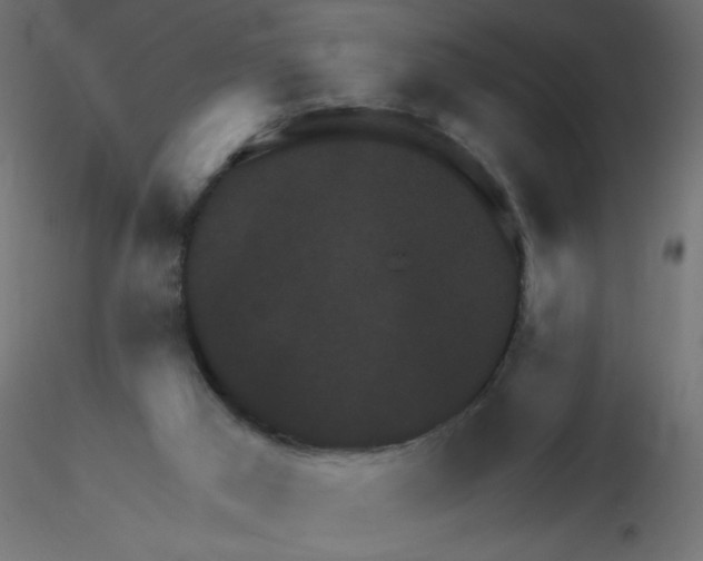 X0000116630017200912312209