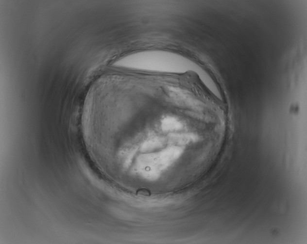 X0000116630018200912312209
