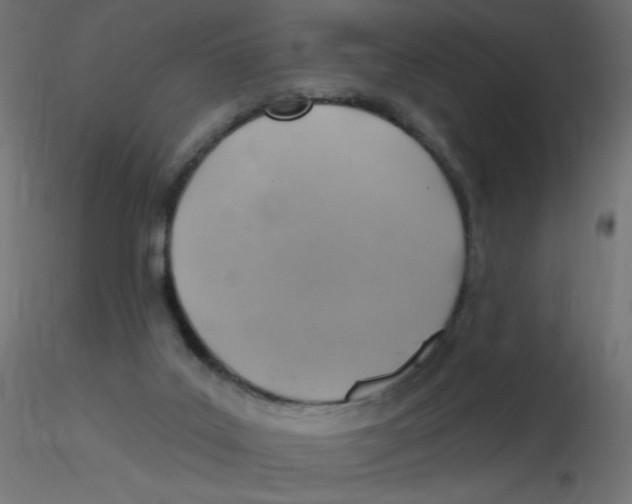 X0000116630019200912312209