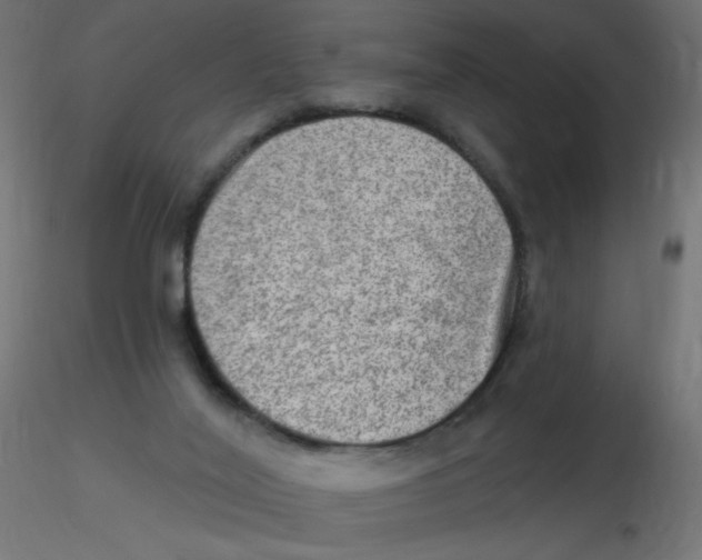 X0000116630020200912312209