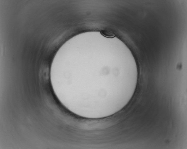X0000116630021200912312209
