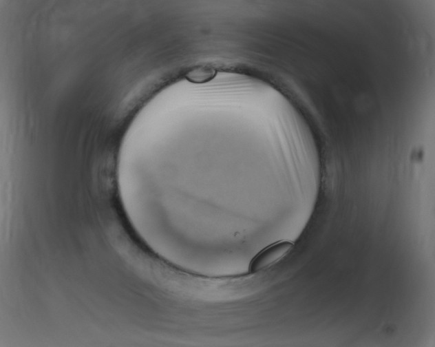 X0000116630023200912312209
