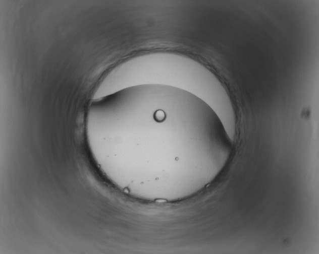 X0000116630024200912312209