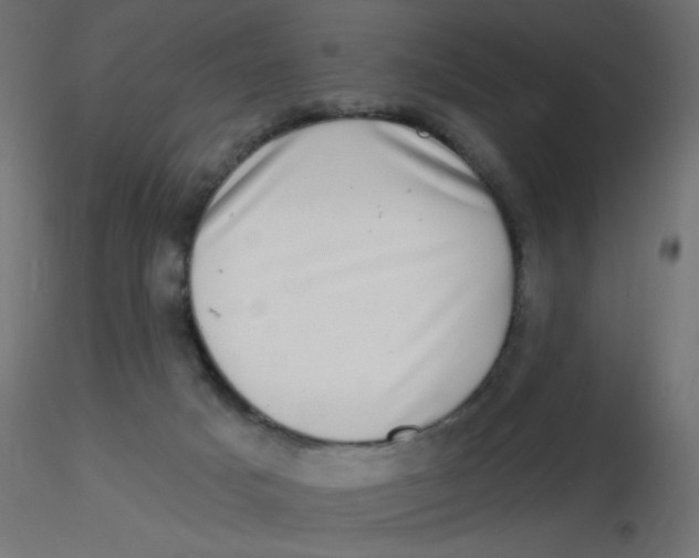 X0000116630025200912312209