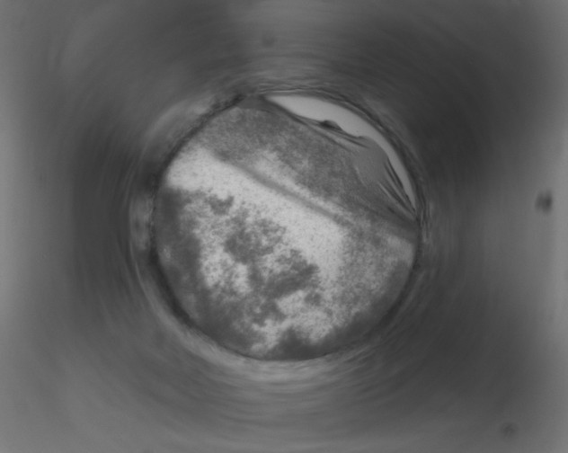 X0000116630026200912312209