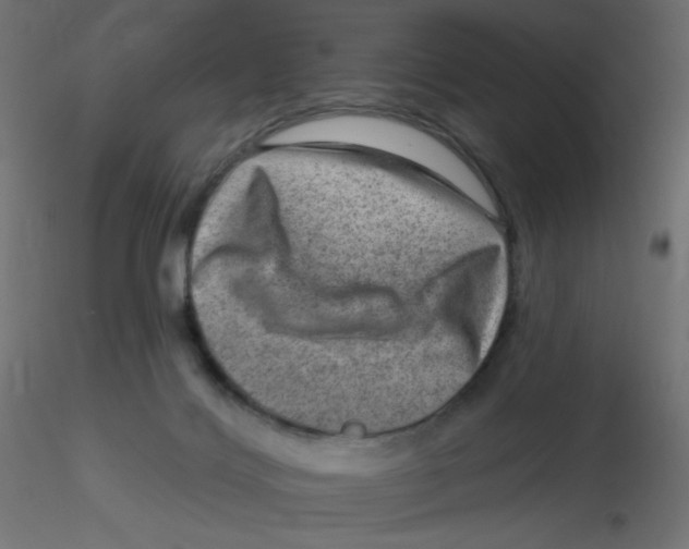X0000116630028200912312209