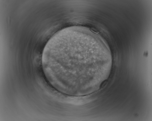 X0000116630029200912312209