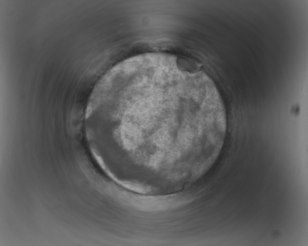 X0000116630030200912312209
