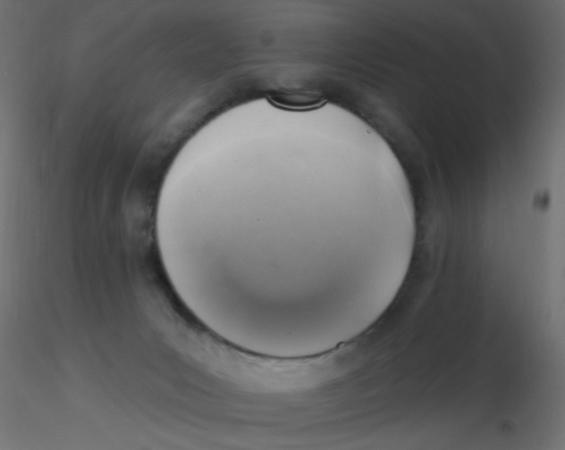 X0000116630031200912312209