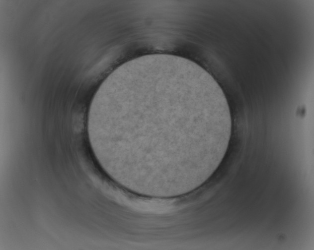 X0000116630032200912312209