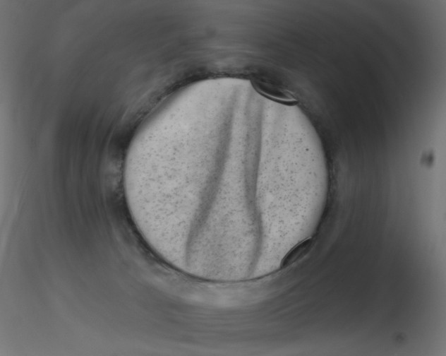 X0000116630033200912312209