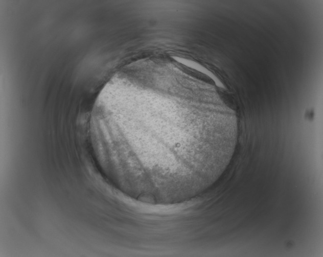 X0000116630034200912312209
