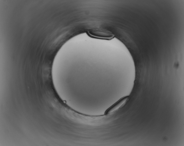 X0000116630035200912312209