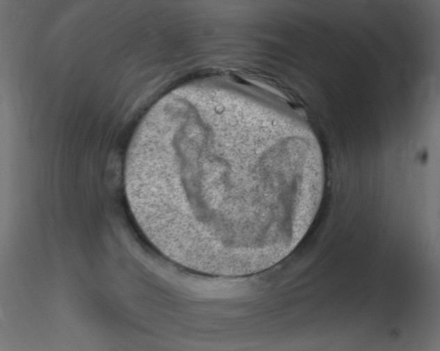X0000116630036200912312209