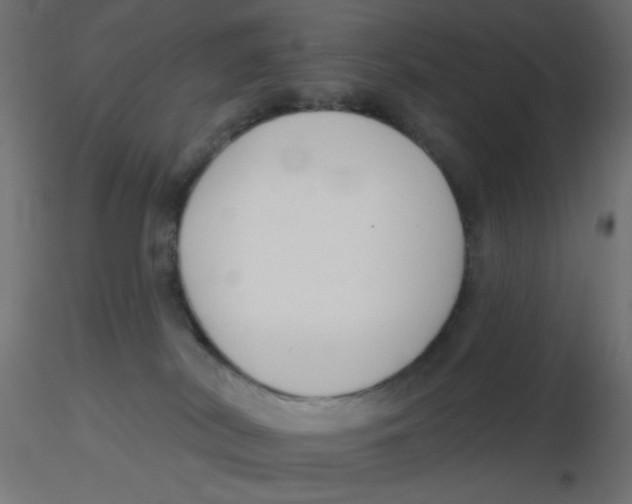 X0000116630038200912312209