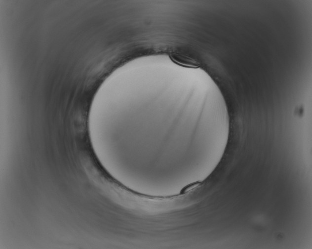 X0000116630039200912312209