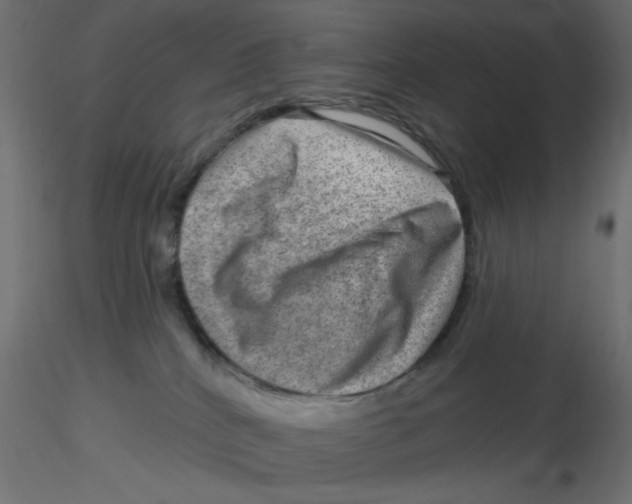 X0000116630040200912312209