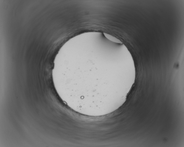 X0000116630043200912312209