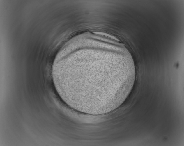 X0000116630044200912312209