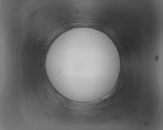X0000116630045200912312209