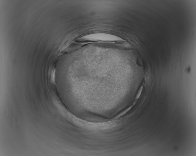 X0000116630046200912312209