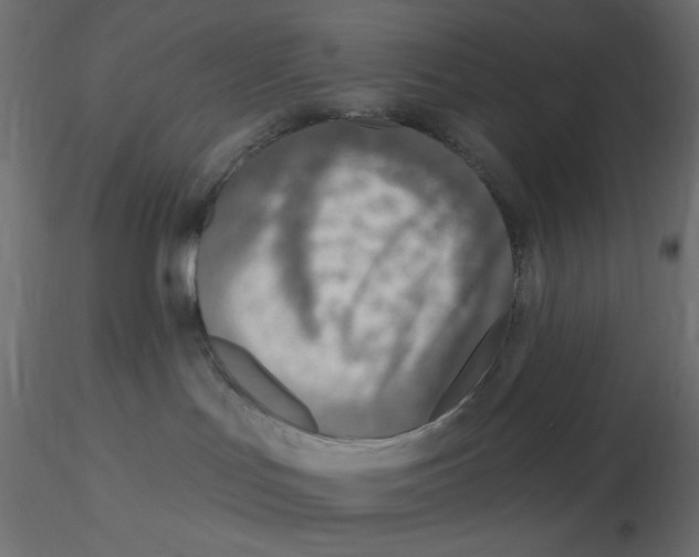 X0000116630047200912312209