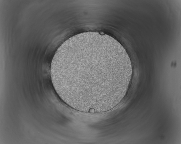 X0000116630048200912312209