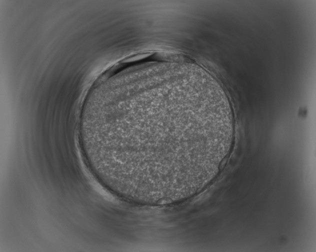 X0000116630049200912312208