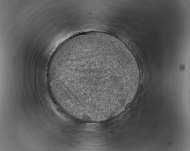X0000116630050200912312208