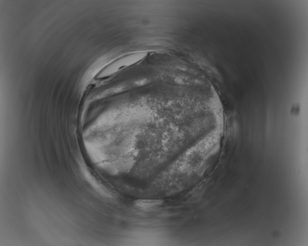 X0000116630051200912312208