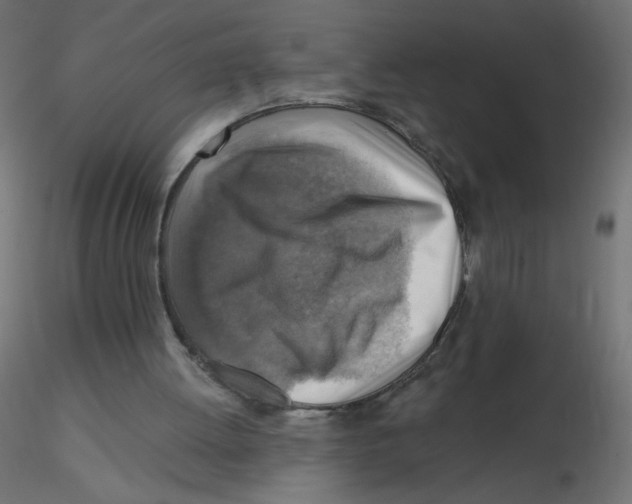 X0000116630052200912312208
