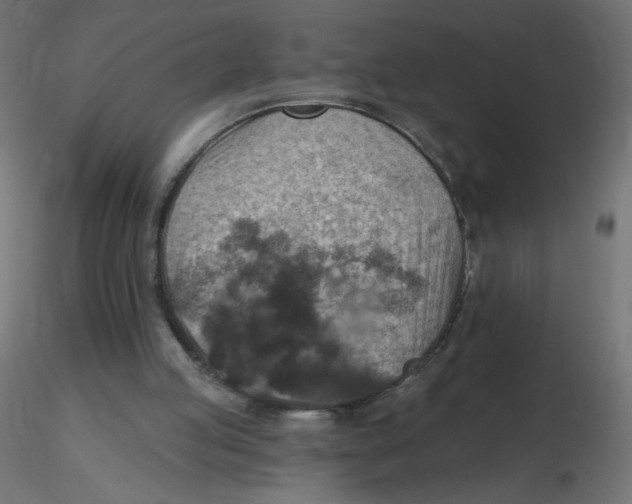 X0000116630053200912312208