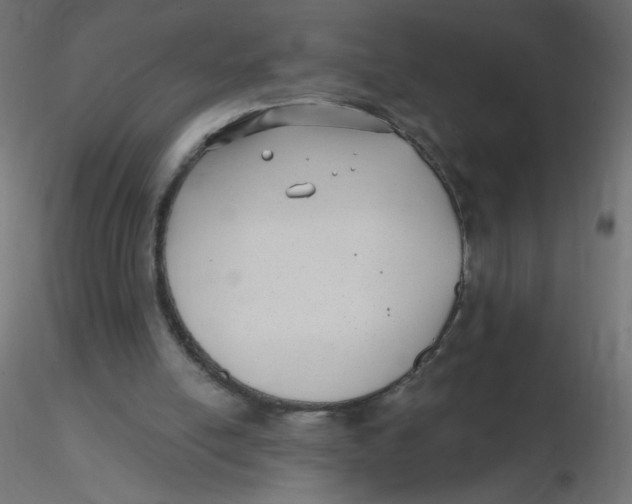 X0000116630054200912312208