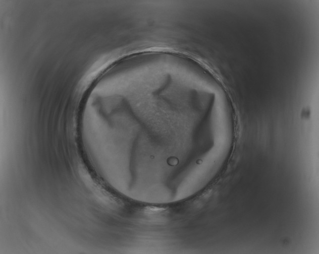 X0000116630055200912312208
