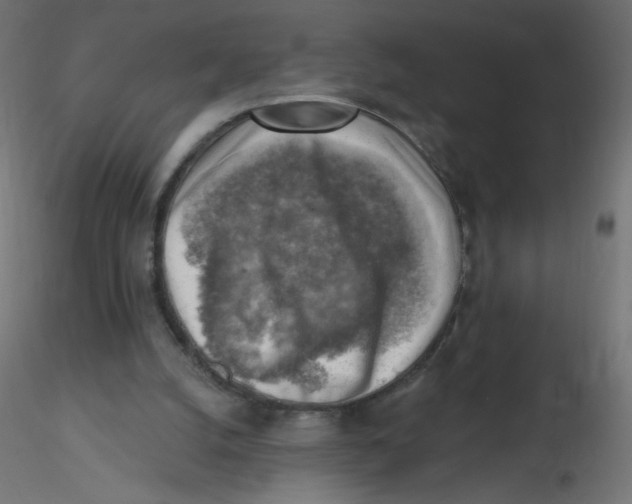 X0000116630056200912312208